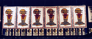 Chicago Bulls NBA Championship